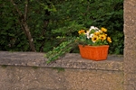 Serenadenabend_2007_0002