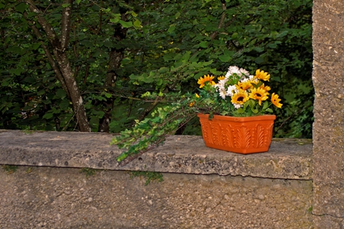 Serenadenabend_2007_002