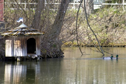 Wasserschloss_014